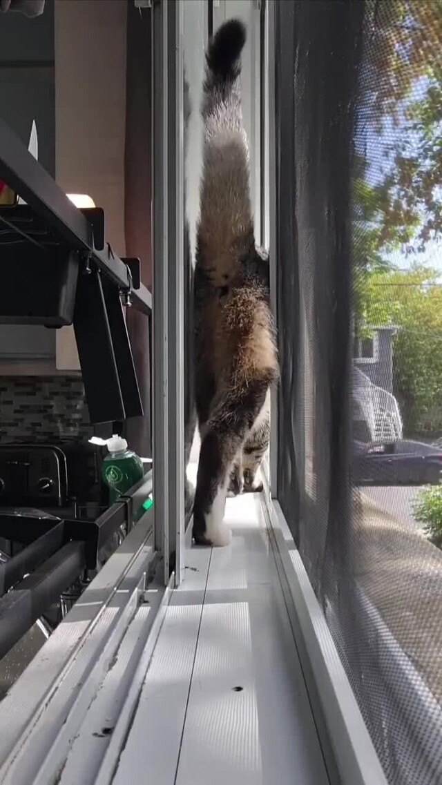 И-изящество