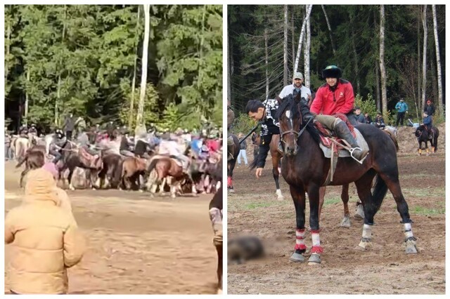 "И среди этих дикарей нам приходится жить": в Раменском несколько сотен мигрантов устроили соревнование с тушей козла