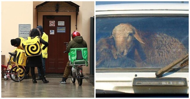 Духовное управление мусульман запретило курьерам-единоверцам доставлять клиентам «харамные» товары