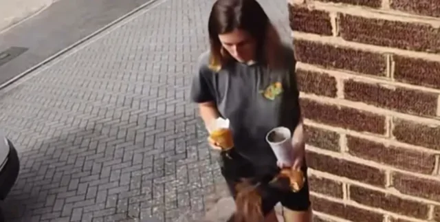 Собака выхватила бургер из рук хозяйки