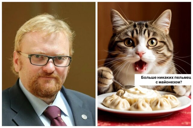 "Настоящее проклятье отечественной кухни": Виталий Милонов предложил запретить продажу майонеза