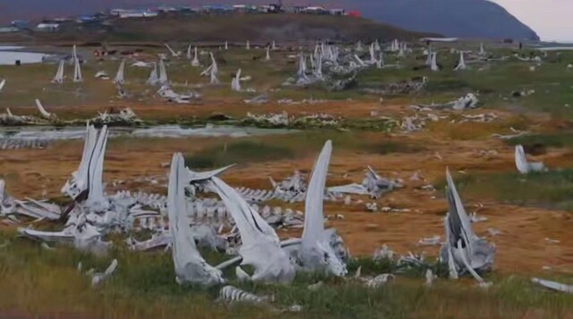 Китовое кладбище на Чукотке