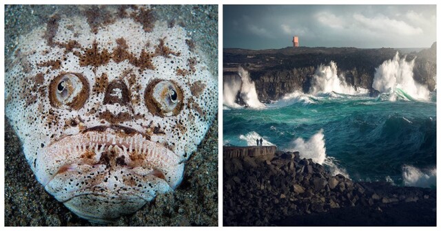 20 кадров, приоткрывающих завесу тайн океанских глубин