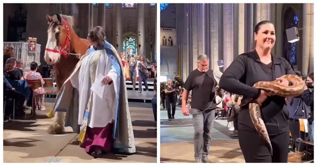 В Нью-Йорке прошла церемония благословения животных