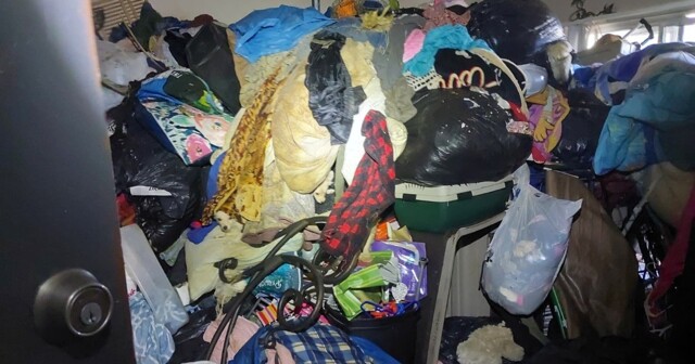 Арендатор сбежал из дома, бросив питомцев на голодную смерть