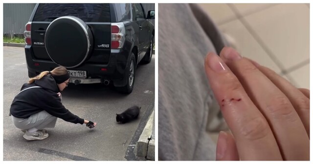 Девушка из Петербурга с трудом получила вакцину после укуса уличного котёнка