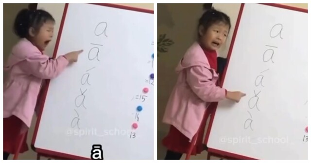 Девочка из Китая смешно путает тона родного языка