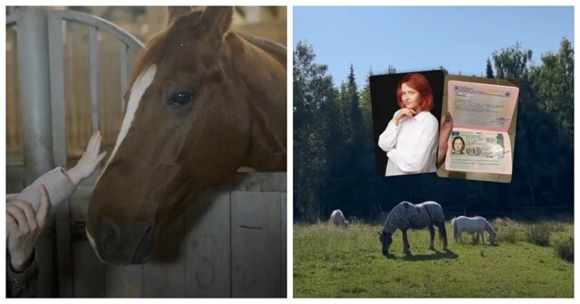 Волонтёрство на ферме в Германии: жильё, питание и опыт ради помощи людям