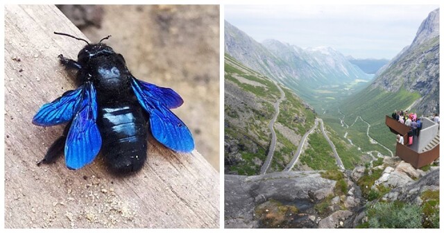 20 кадров - примеров простых чудес нашего мира