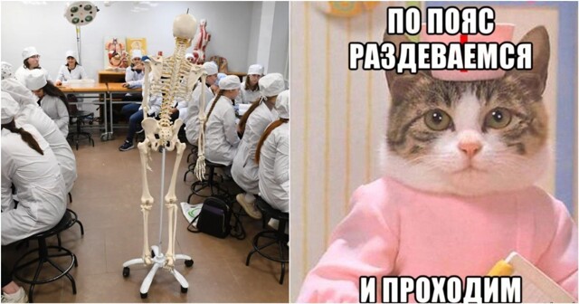 В Минздраве придумали, как удержать медиков в государственных клиниках