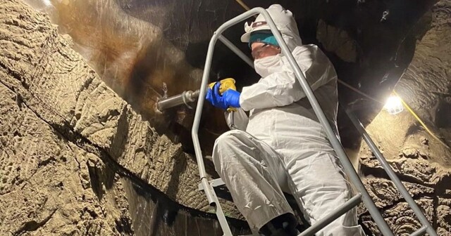 Угроза новой пандемии: микробы вечной мерзлоты пробуждаются