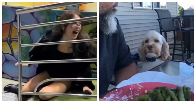 Подборка видео, где всё пошло не по плану