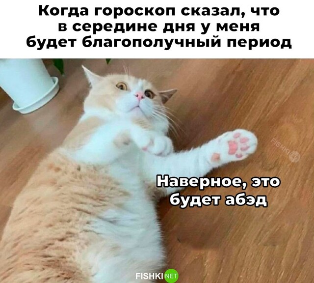 Не ищите здесь смысл. Здесь в основном маразм