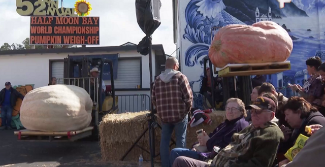 Гигантскую тыкву весом 1064 кг вырастил калифорнийский инженер