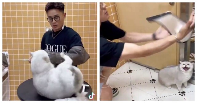 Симпатичная, но крайне нервная клиентка