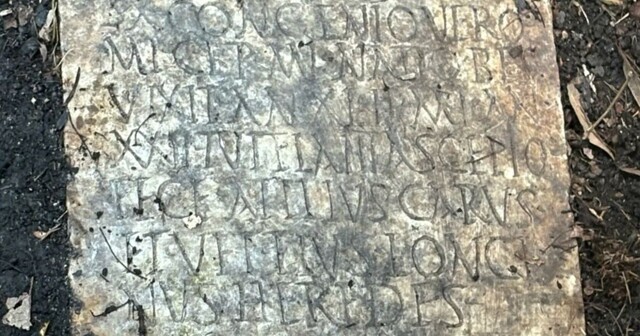 Древнеримский артефакт загадочным образом оказался в заросшем саду Нового Орлеана