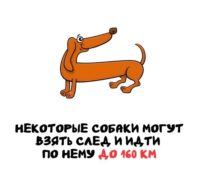 А вдруг ты не знал…