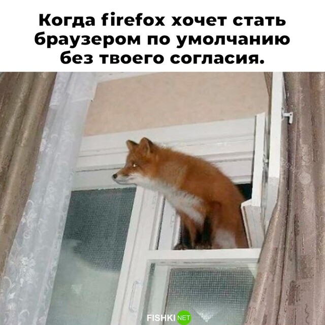 Не ищите здесь смысл. Здесь в основном маразм