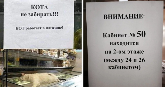 15 странных и забавных объявлений, созданных людьми, которые могут ко всему найти нестандартный подход