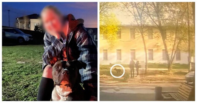 В РФ первые выписали штраф за писающую собаку