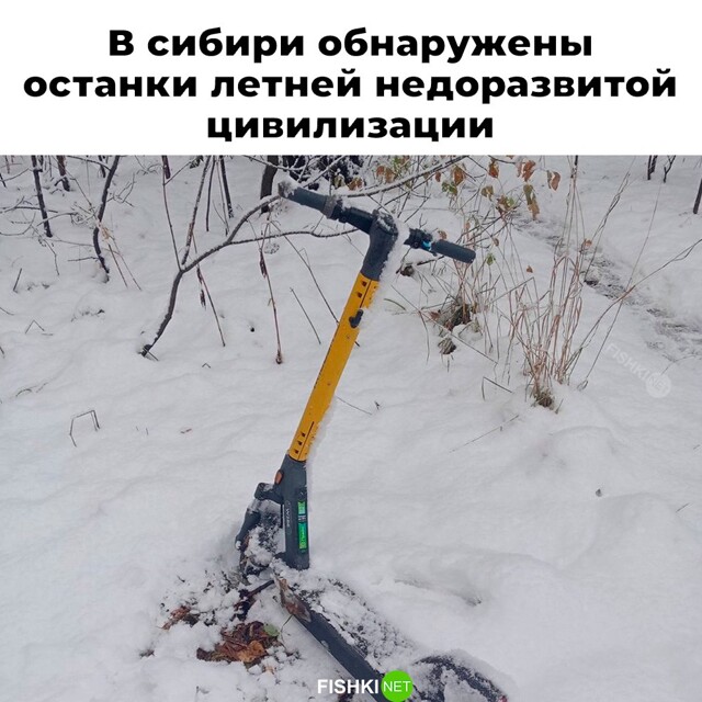 Скрины из соцсетей