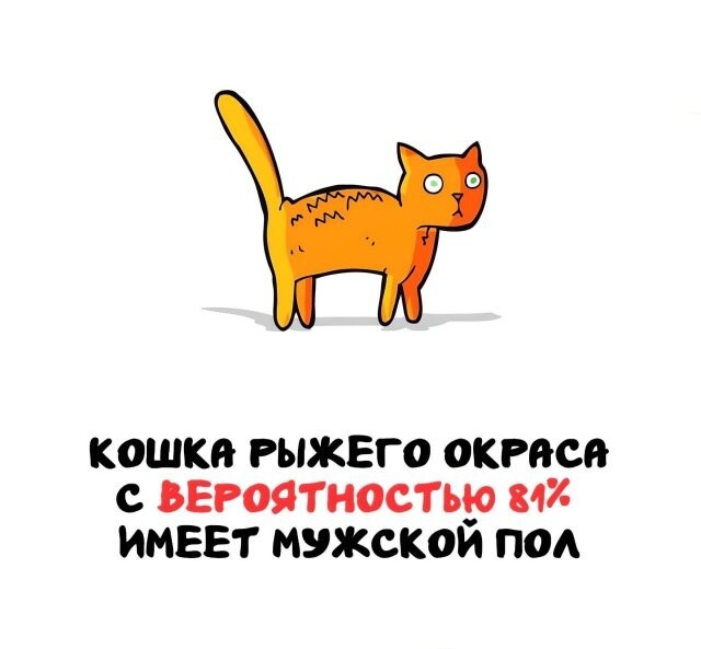 А вдруг ты не знал…