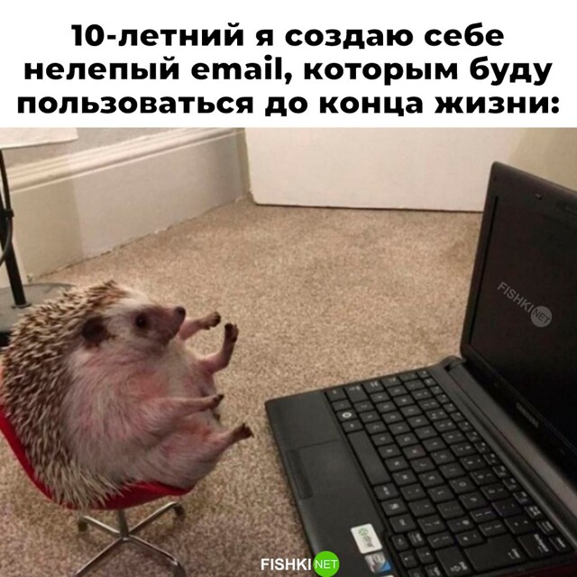 Не ищите здесь смысл. Здесь в основном маразм