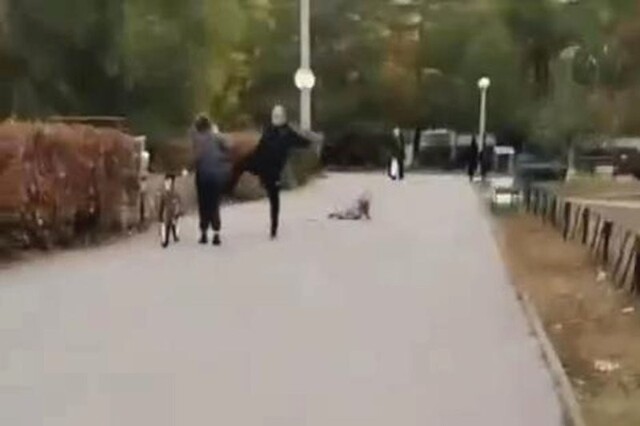 В Тольятти мужчина избил ребёнка, который на велосипеде сбил его дочь