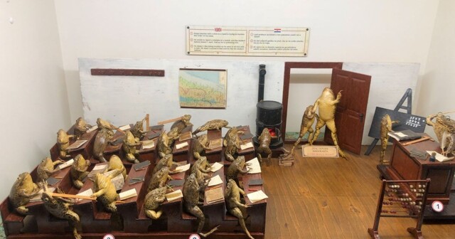 Самый странный музей Европы, где представлены диорамы с чучелами лягушек