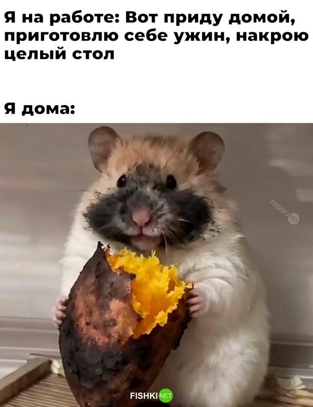 Смешные картинки