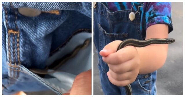 Девочка вернулась с прогулки с "трофеями"