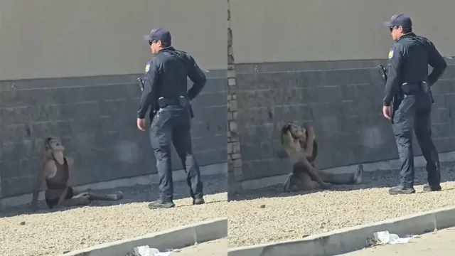 Полицейский встретил девушку в неадекватном состоянии на обочине дороги