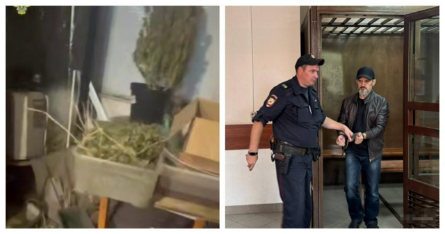 В квартире москвича, затопившего соседку, нашли наркоплантацию