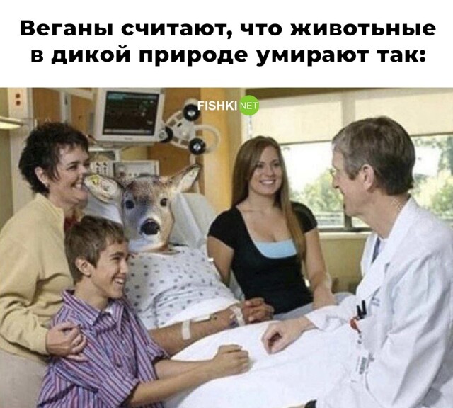 Скрины из соцсетей