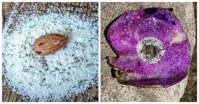 20 простых и завораживающих чудес, которые можно встретить где угодно