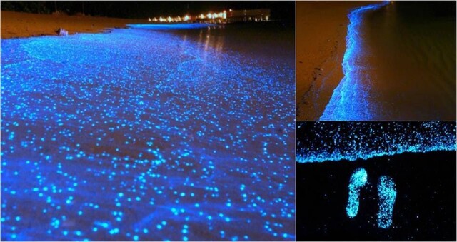 Несколько раз в год в Кейптауне происходит уникальное явление