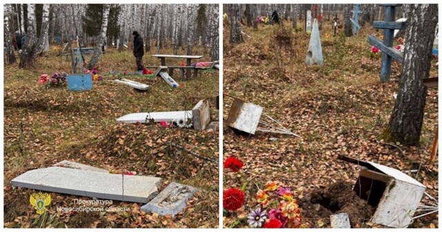 В Новосибирской области трое младшеклассников устроили погром на кладбище