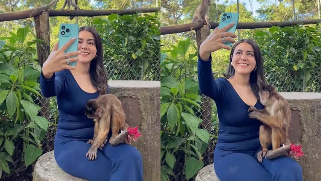 Наглая обезьянка  «нашла сокровище» у посетительницы парка