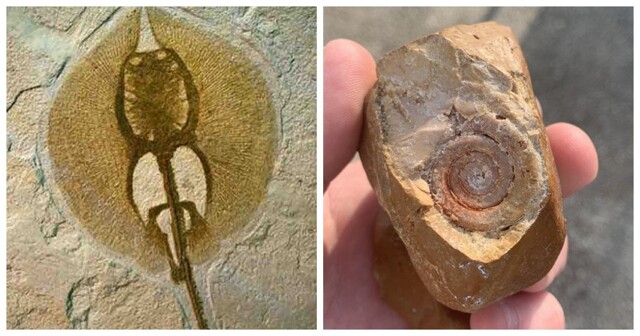 18 находок, позволяющих узнать об удивительных жителях планеты ушедших эпох