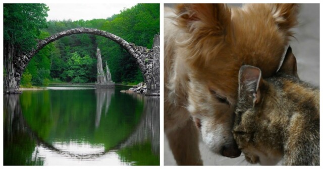 20 поводов улыбнуться и восхититься, подаренных природой