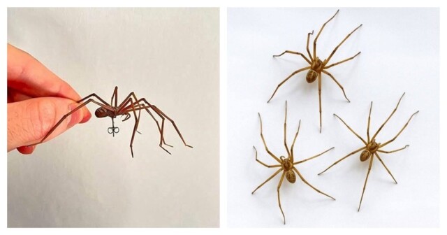 Серьги в виде реалистичных пауков