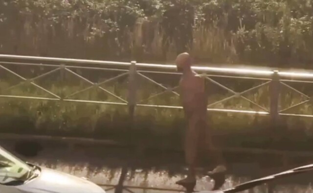 Голый поклонник Санкт-Петербурга