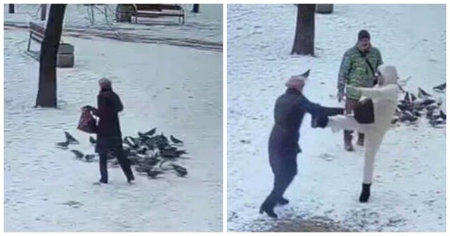 Спор из-за недопустимости кормления голубей привёл петербурженку на скамью подсудимых