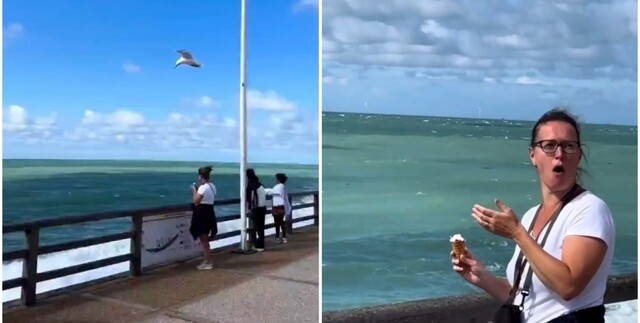 Чайка зависла в воздухе и укусила мороженое у американки