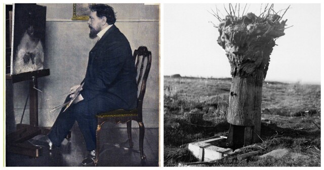 Необычные стратегические перевоплощения обычных деревьев