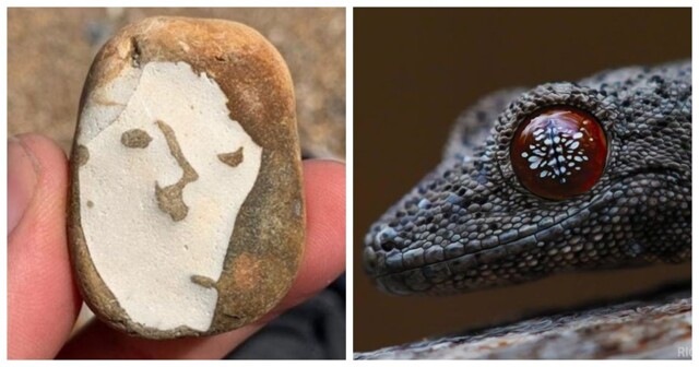 20 природных шедевров, ставших результатом случайности