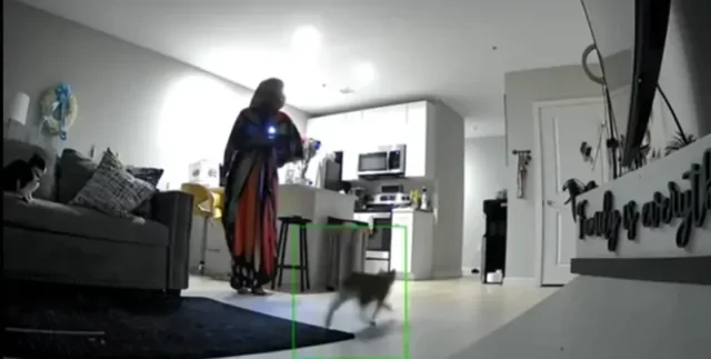 Камера наблюдения засняла "грабителей" в доме женщины