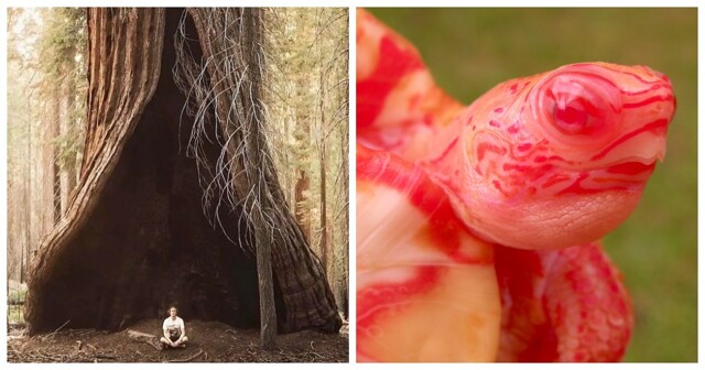 16 странноватых кадров, которые можно сравнить с порталом в невероятное