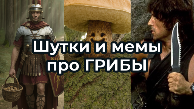 Подборка из осеннего леса