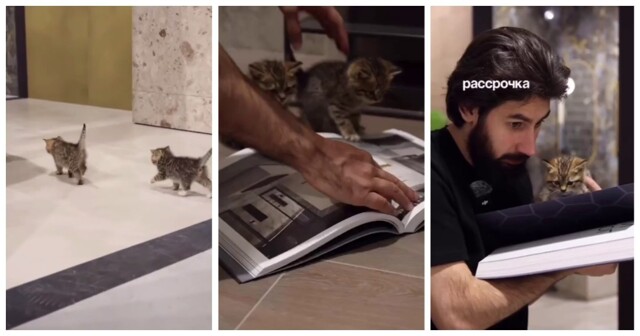 Милые и очень капризные клиенты